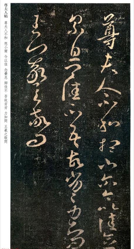 王羲之草書尊夫人帖